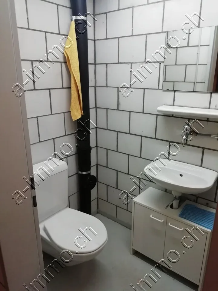 Invest in two hobby rooms incl. one outdoor parking space in Aarberg (BE) – photo 3 of 8