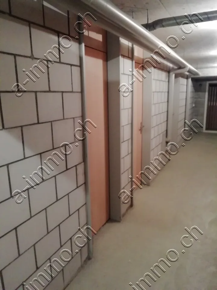 Invest in two hobby rooms incl. one outdoor parking space in Aarberg (BE) – photo 7 of 8