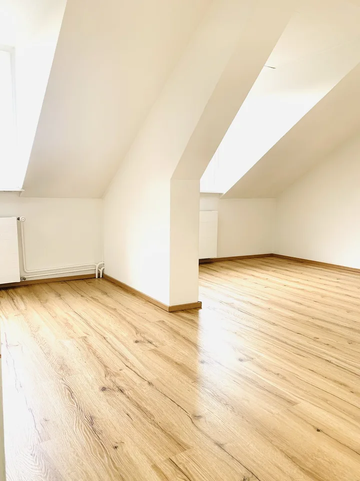 Appartamento in vecchio edificio luminoso nel Kleinbasel in posizione centrale. – foto 2 di 4