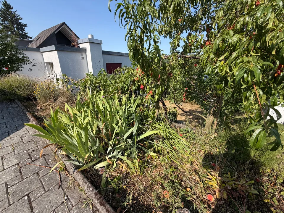 Casa familiare di 5 locali in una posizione tranquilla a Muri AG – foto 4 di 20