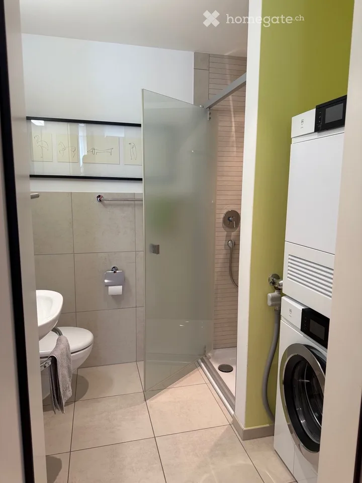 Vivere con vista: appartamento spazioso 4.5 locali con due balconi a Glarus – foto 12 di 13