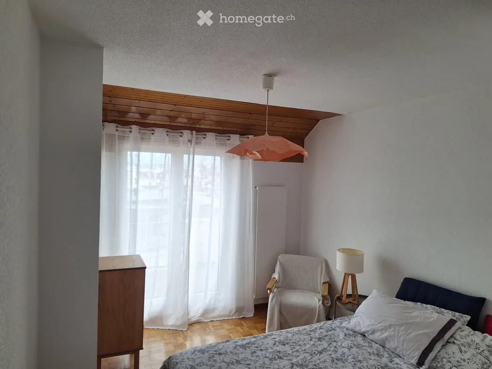 4 pièces Duplex traversant 2 grandes terrasses Plainpalais – Foto 4 von 5
