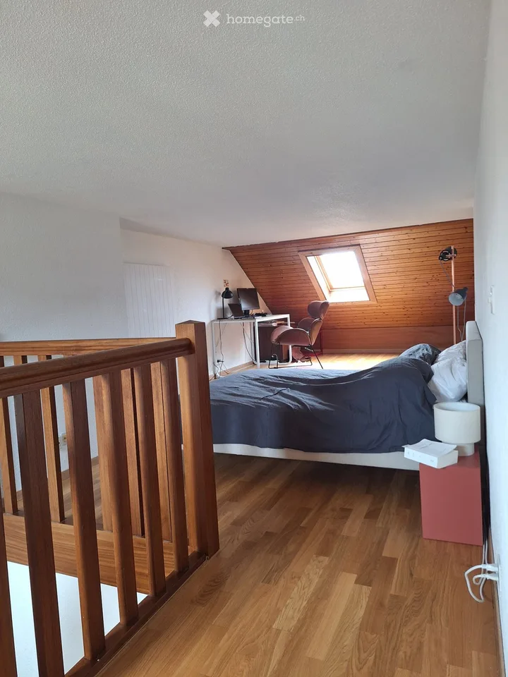 4 pièces Duplex traversant 2 grandes terrasses Plainpalais – Foto 3 von 5