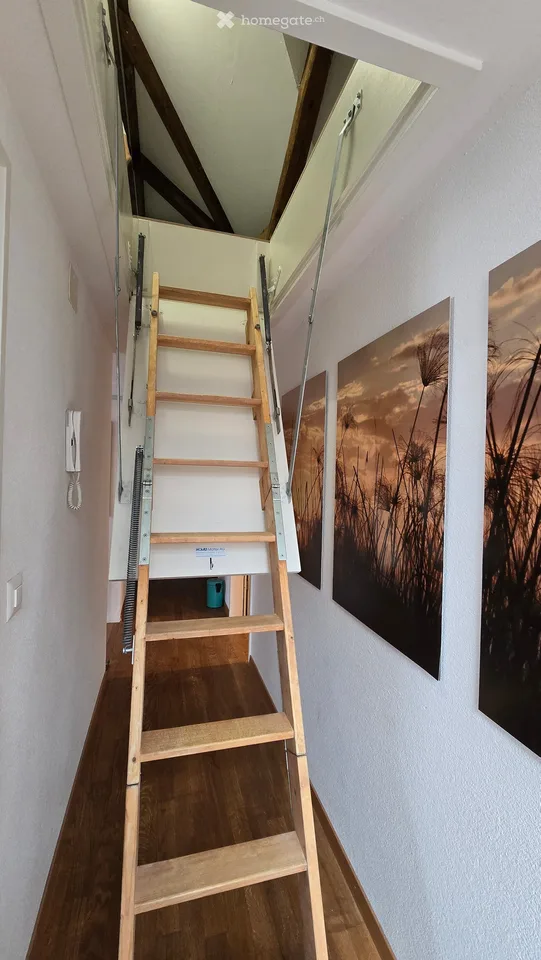 Exceptional 5 1/2-room attic apartment with 60m2 loggia in a 2-party house – photo 19 of 22