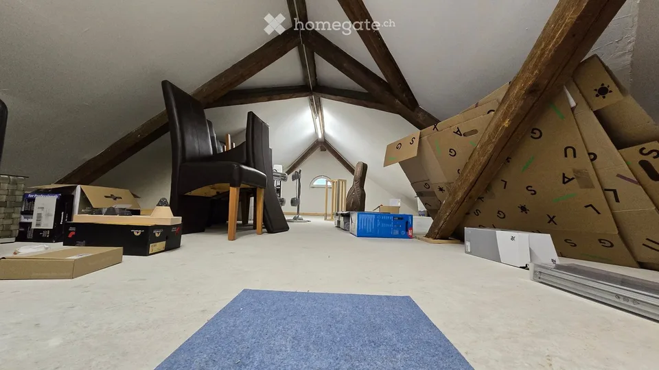 Exceptional 5 1/2-room attic apartment with 60m2 loggia in a 2-party house – photo 20 of 22