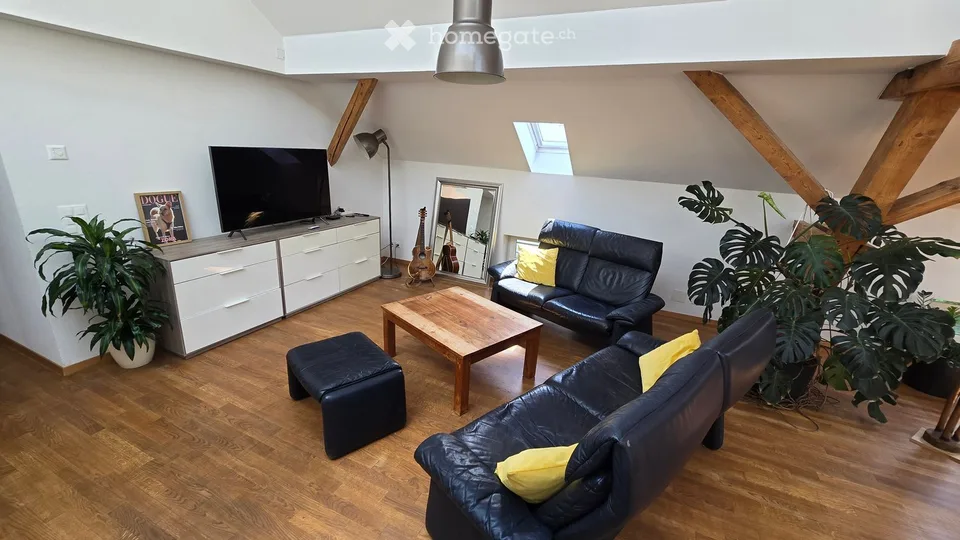 Exceptional 5 1/2-room attic apartment with 60m2 loggia in a 2-party house – photo 3 of 22