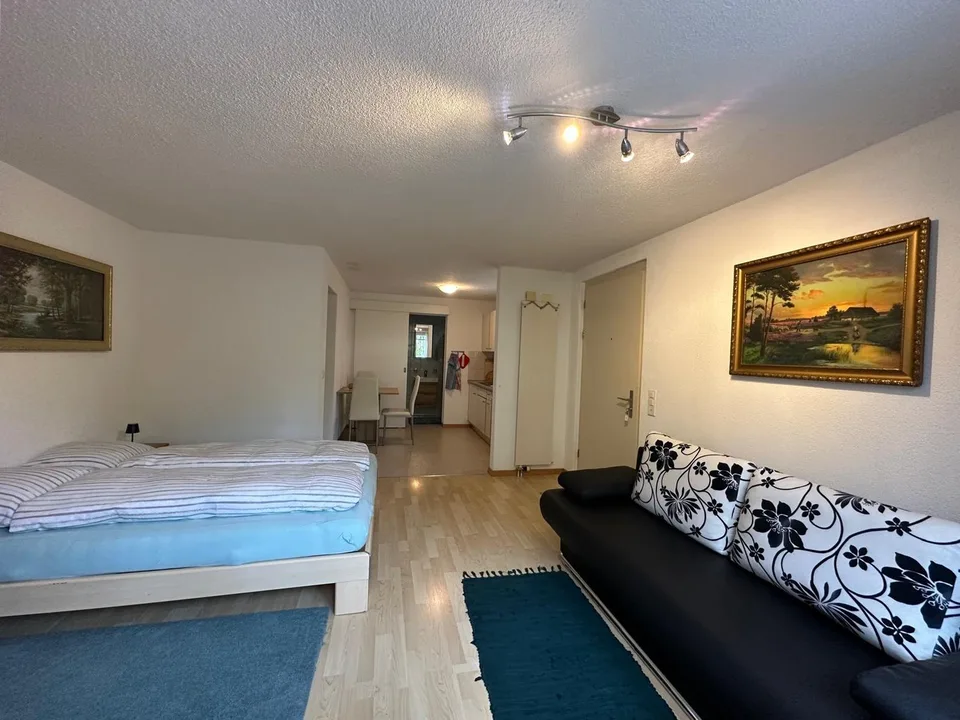 1 ZI-WOHNUNG IN RICKENBACH SULZ (ZH), MÖBLIERT, TEMPORÄR – photo 2 sur 9