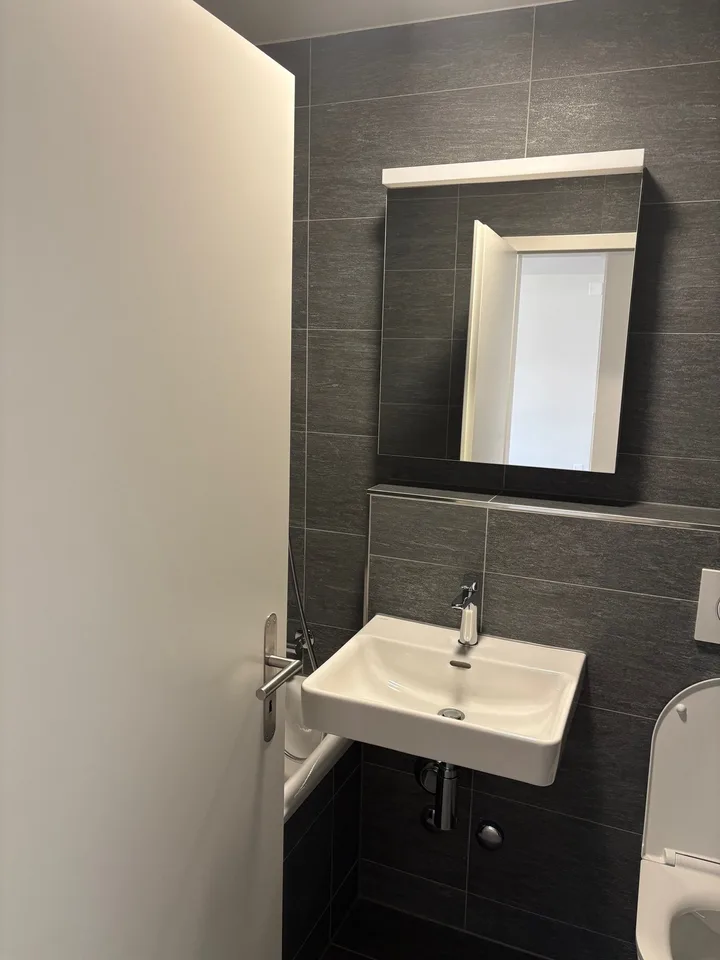 Première location d'un appartement de 3,5 pièces totalement rénové dans un emplacement central à Dietikon – photo 9 sur 14