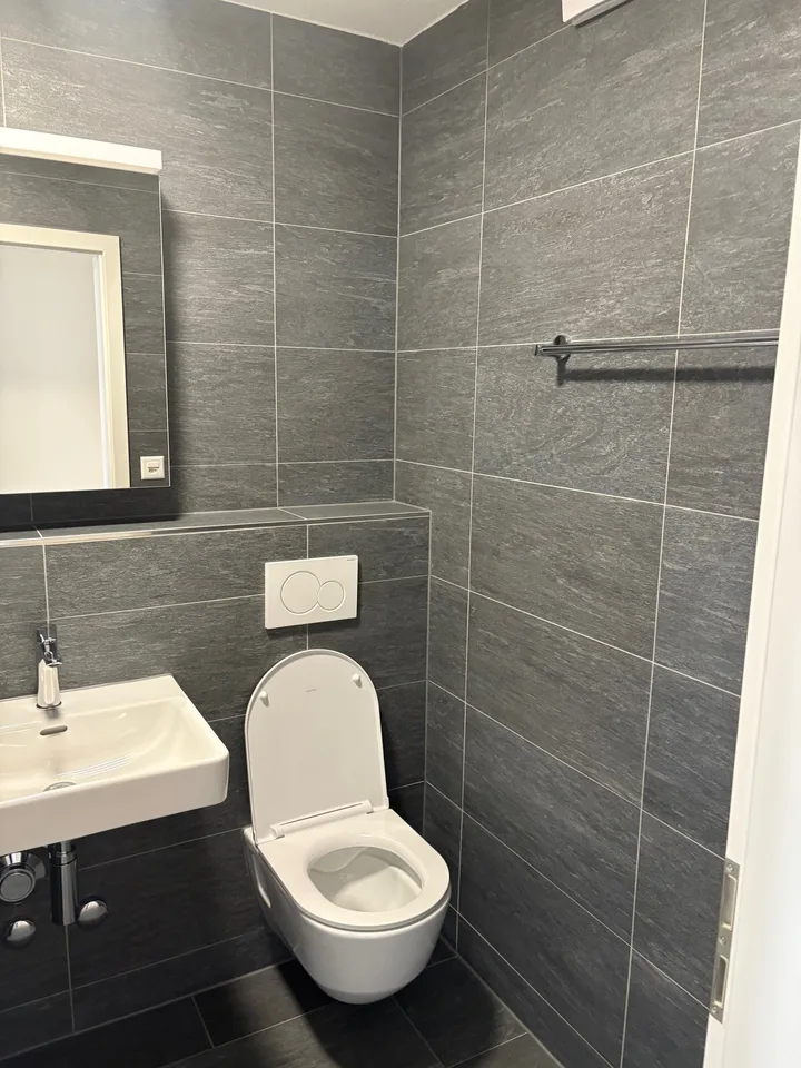 Première location d'un appartement de 3,5 pièces totalement rénové dans un emplacement central à Dietikon – photo 8 sur 14