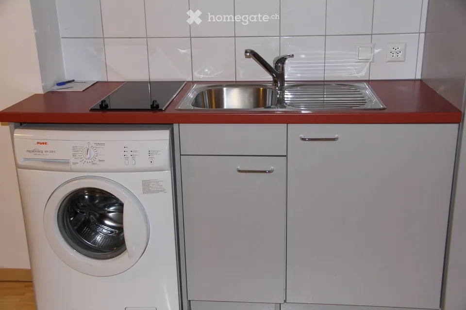Schönes Studio 67 m2 in Troinex, mit privatem Parkplatz und kleinem privatem Garten (CEVA 5 Minuten entfernt) – Foto 4 von 4