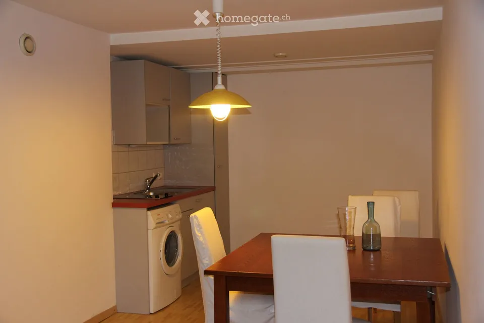 Schönes Studio 67 m2 in Troinex, mit privatem Parkplatz und kleinem privatem Garten (CEVA 5 Minuten entfernt) – Foto 3 von 4