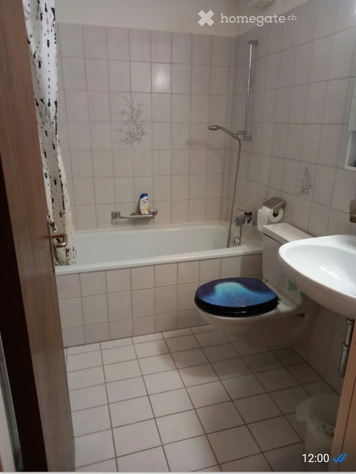 2.5 Zimmer zum Mieten – Foto 4 von 5