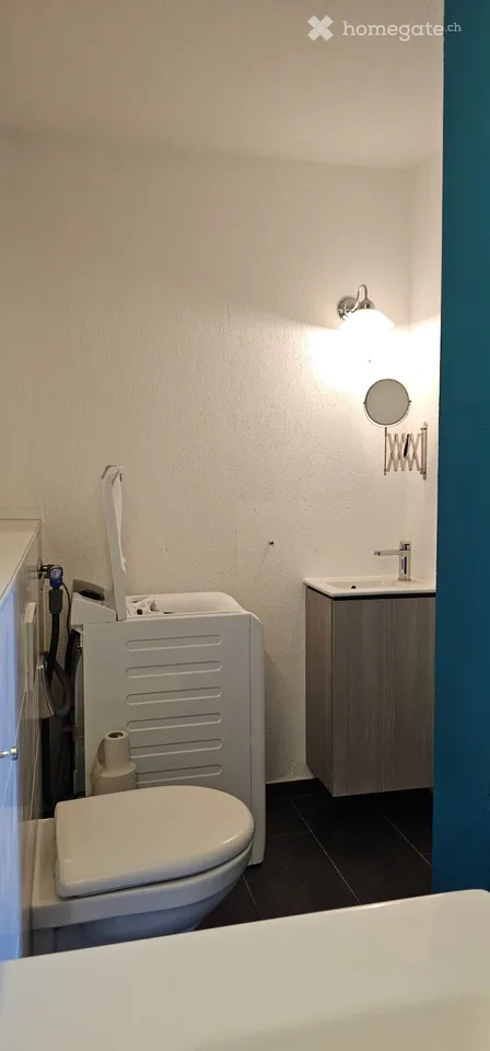 3,5 à 4,5 pièces, 120m2 d'espace de vie, lumineux, calme, étage attique – photo 9 sur 13