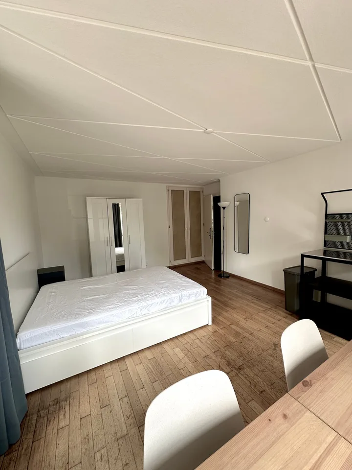 Grosszügiges und modern möbliertes Zimmer – Foto 5 von 5
