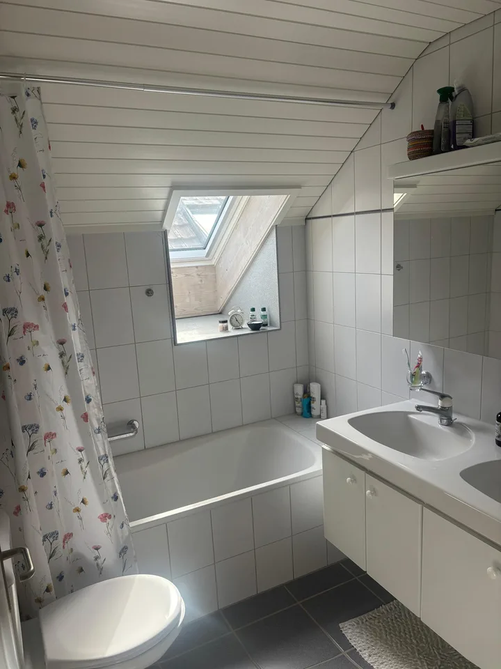 Appartement mansardé lumineux et spacieux de 4 pièces – photo 5 sur 9