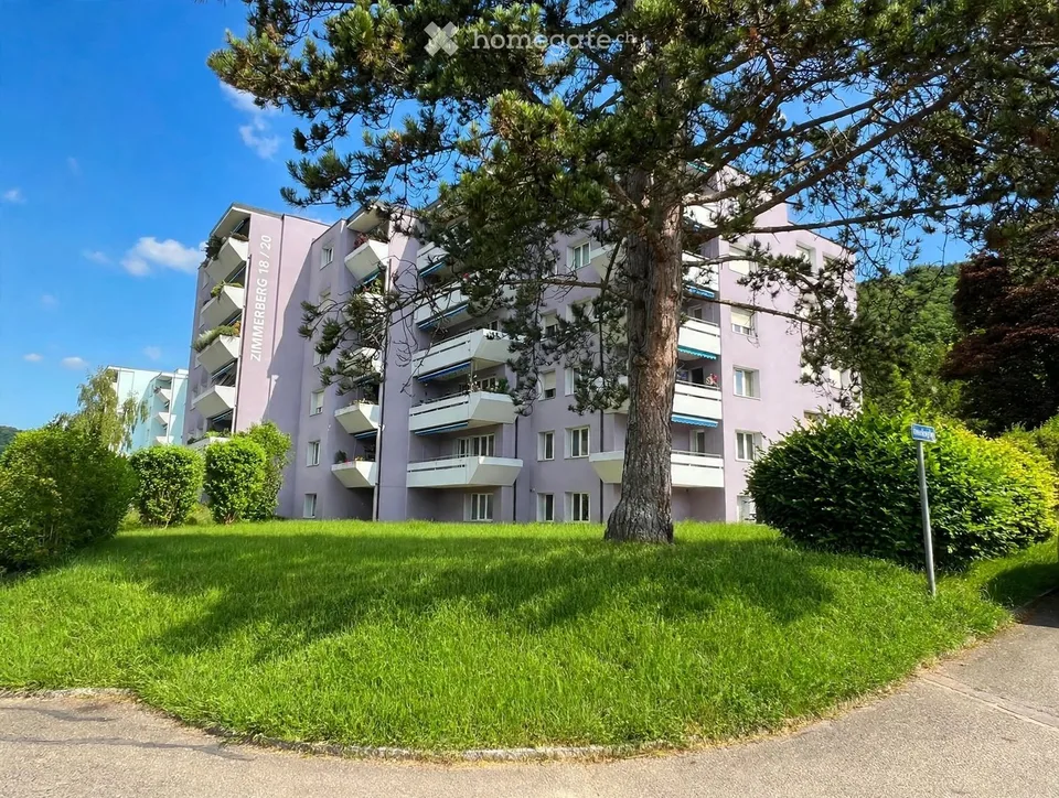 Weitblick über Beringen: Grosszügige Wohnung mit 3 Balkonen und Cheminée – Foto 3 von 30