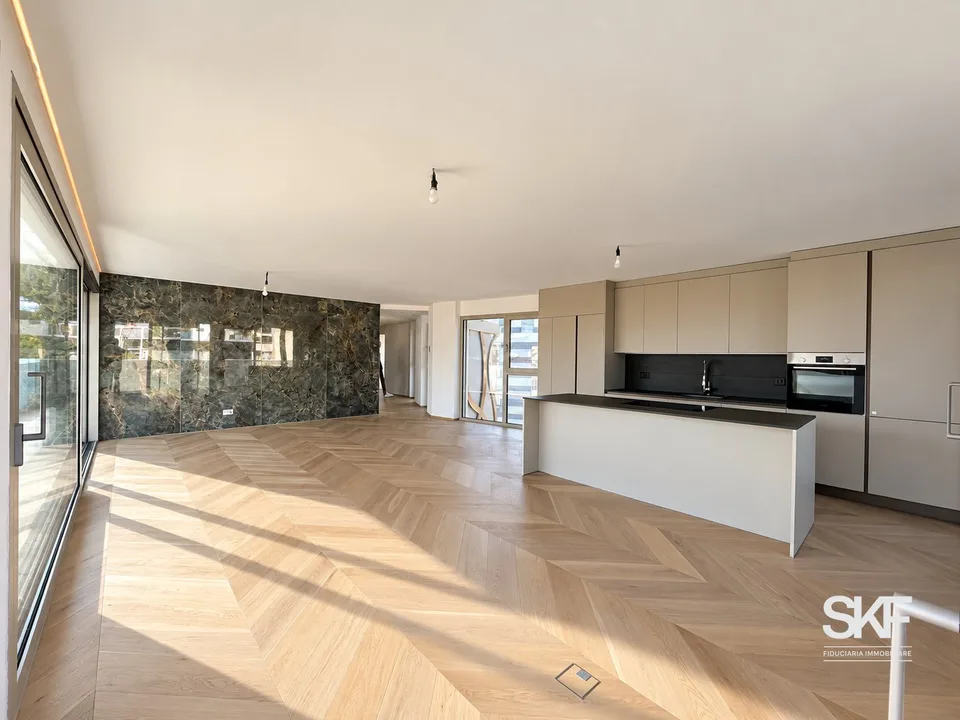 MASSAGNO - Vendesi un attico de nouvelle construction avec terrasse vue sur le lac – photo 2 sur 13