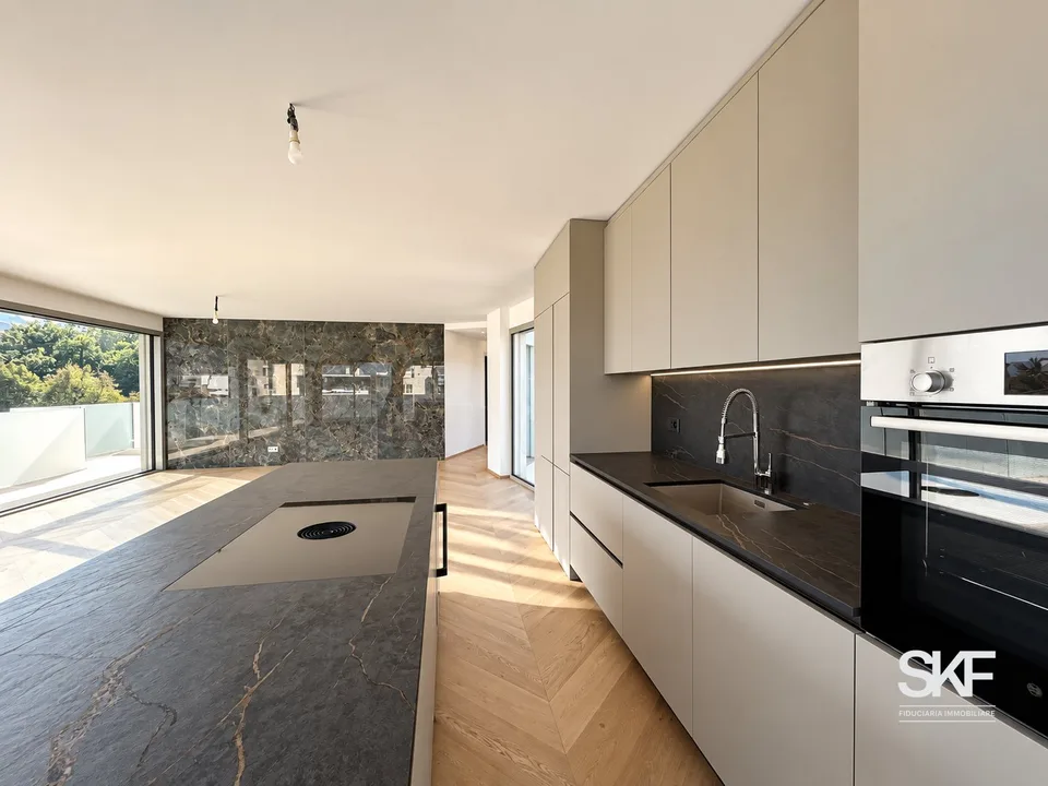 MASSAGNO - Vendesi un attico de nouvelle construction avec terrasse vue sur le lac – photo 4 sur 13