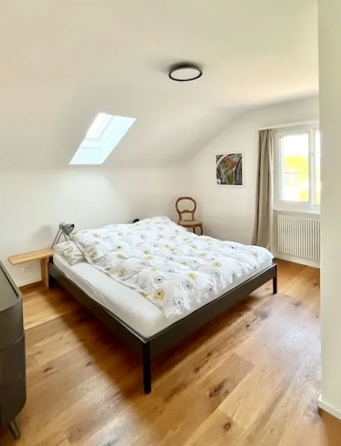 Casa unifamiliare indipendente a Dietikon (quartiere di Blüemli) – foto 10 di 10