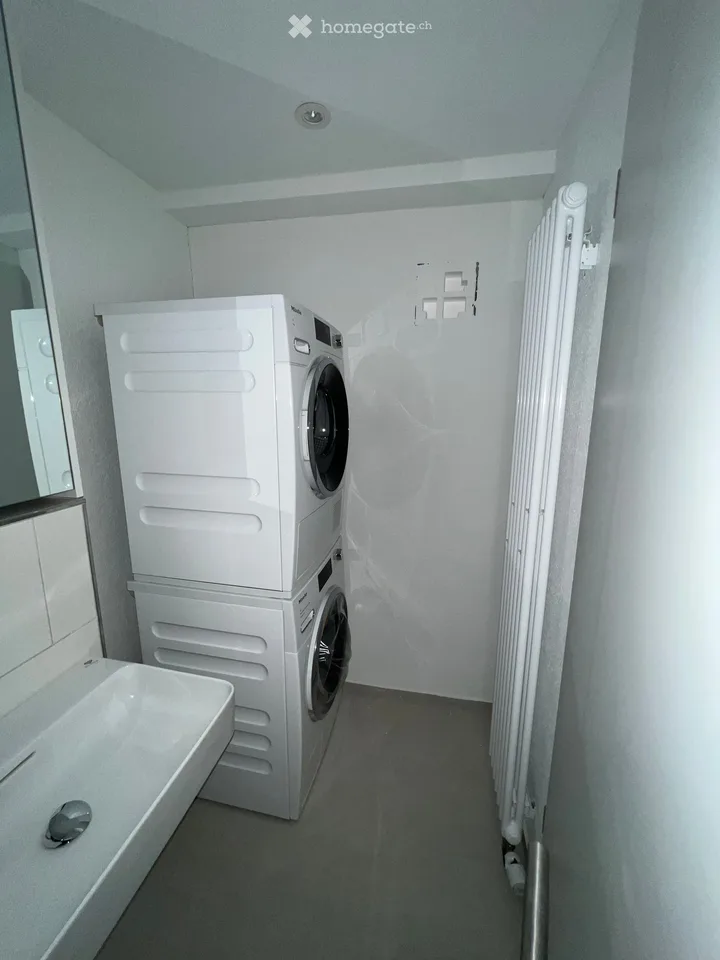 Neu renovierte 3.5-Zimmerwohnung in charmantem Bauernhaus im Grünen – Foto 13 von 14
