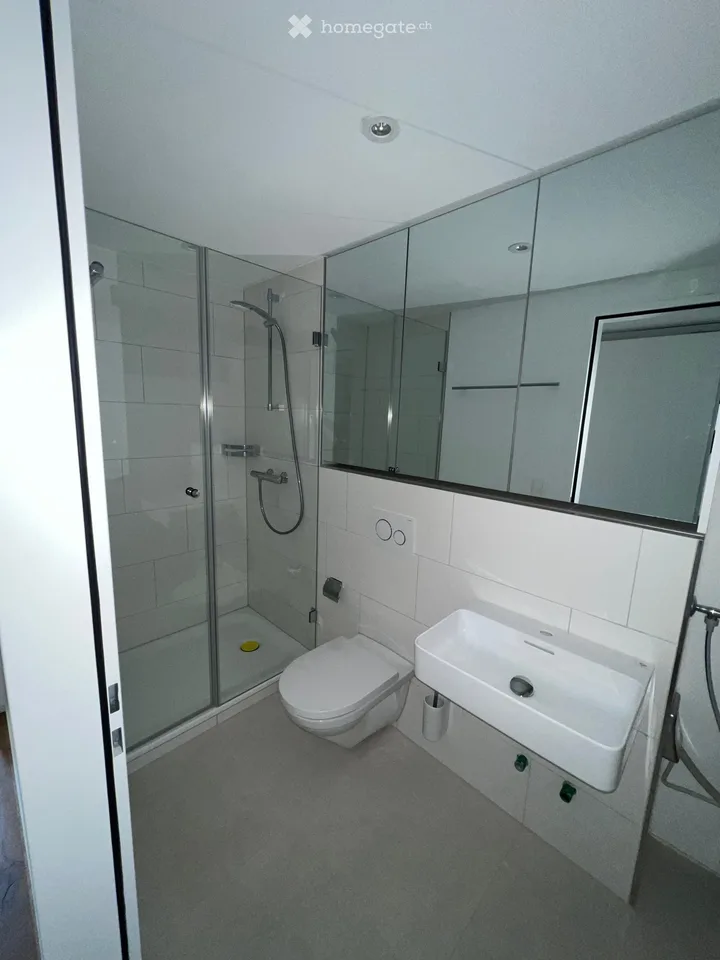 Neu renovierte 3.5-Zimmerwohnung in charmantem Bauernhaus im Grünen – Foto 12 von 14