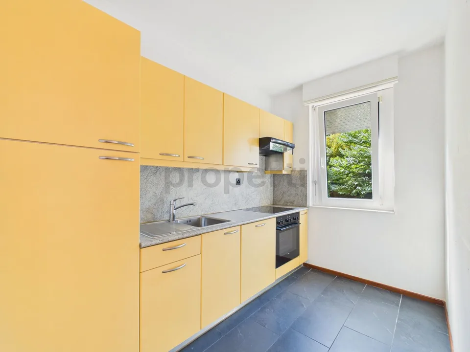 Appartement 2,5 Zimmer mit Seeblick, Schwimmbad und Dachterrasse in Paradiso! – Foto 4 von 14