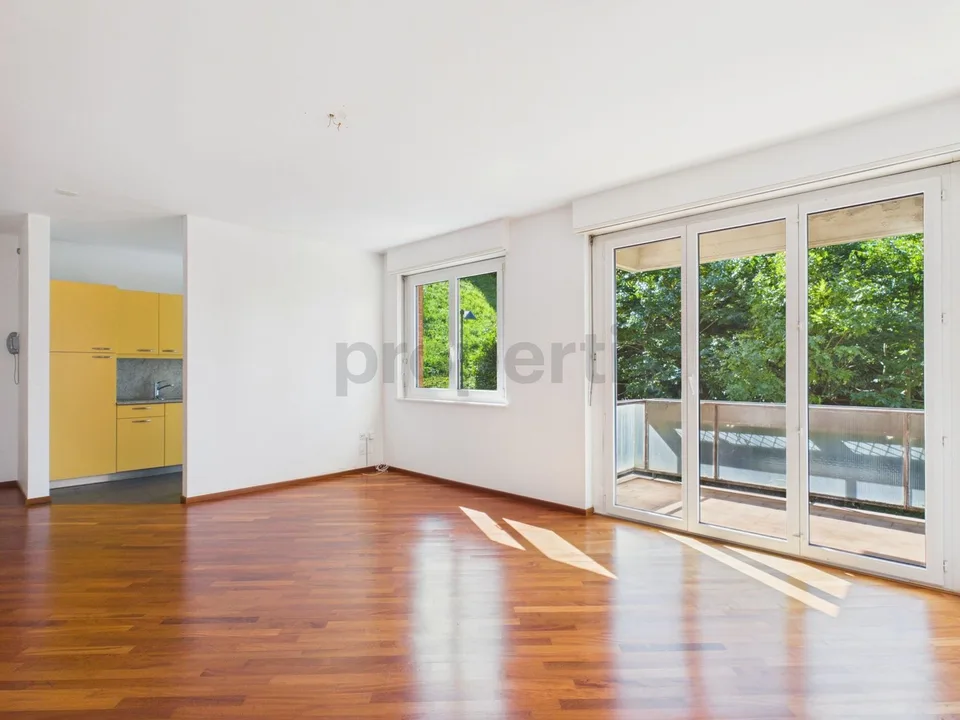 Appartement 2,5 Zimmer mit Seeblick, Schwimmbad und Dachterrasse in Paradiso! – Foto 1 von 14