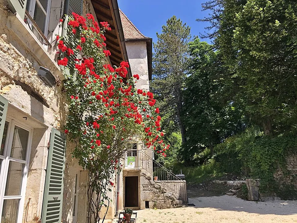 Castello del XII secolo, a 45 minuti da Ginevra – foto 3 di 26