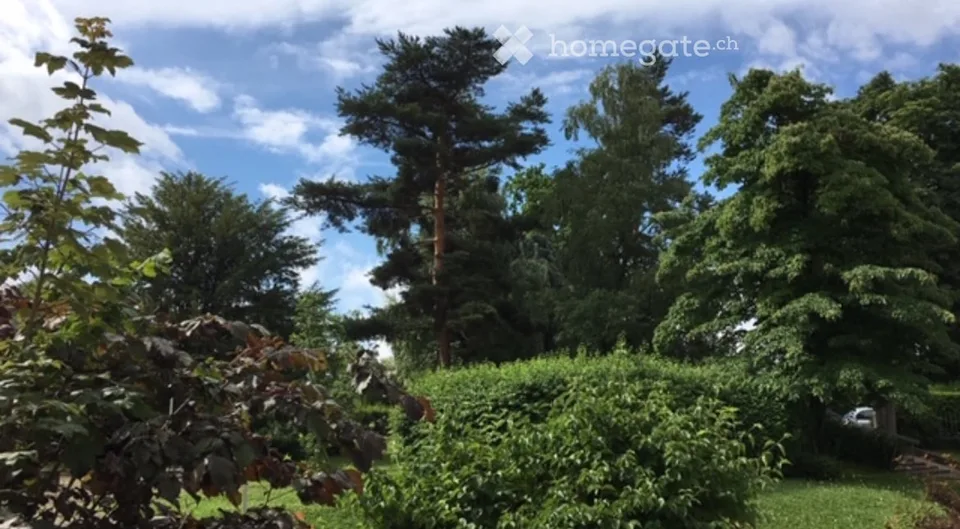 Großes Durchgangsappartement – Foto 12 von 14