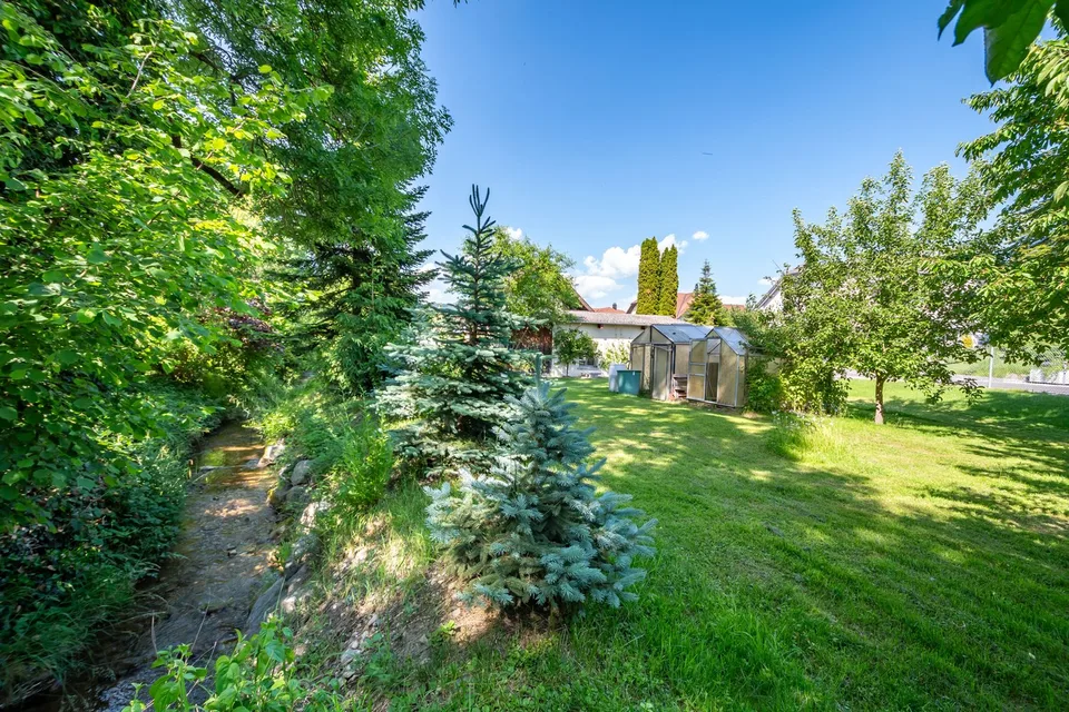 Terreno spazioso con casa e potenziale di sviluppo – foto 5 di 8