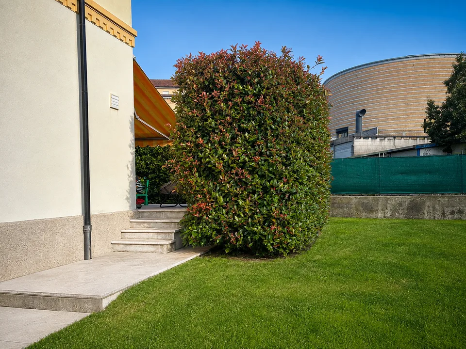 NUOVO POSIZIONAMENTO SUL MERCATO - Villa indipendente d’epoca con giardino nel centro di Mendrisio – foto 13 di 18