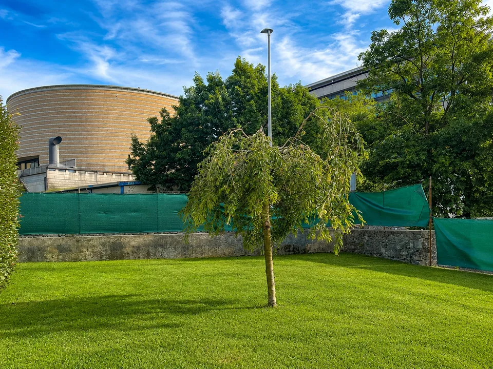 NUOVO POSIZIONAMENTO SUL MERCATO - Villa indipendente d’epoca con giardino nel centro di Mendrisio – foto 12 di 18