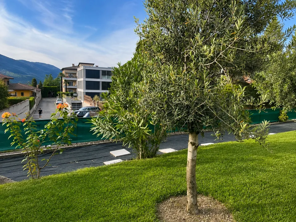 NUOVO POSIZIONAMENTO SUL MERCATO - Villa indipendente d’epoca con giardino nel centro di Mendrisio – foto 11 di 18