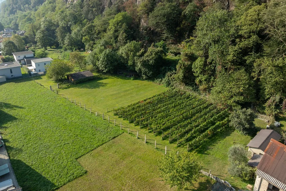 Terrain plat avec un grand potentiel de construction – photo 4 sur 5