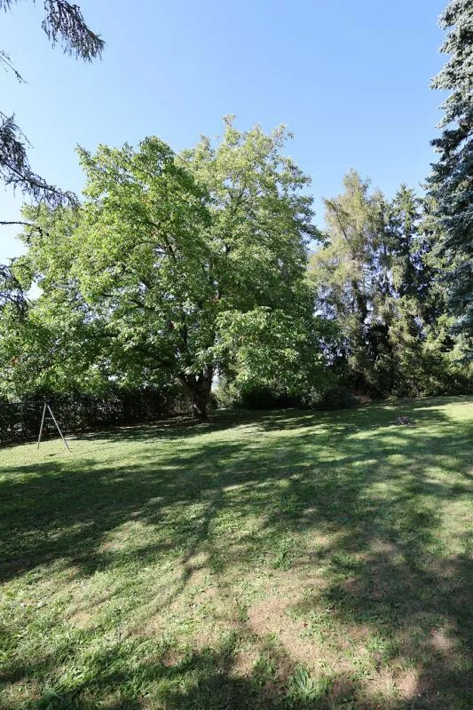 Demeure de caractère avec parc de 2'600 m2 – Foto 9 von 16