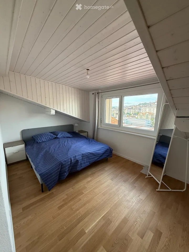 Außergewöhnliche Wohnung hyperzentral in Lausanne – Foto 2 von 4