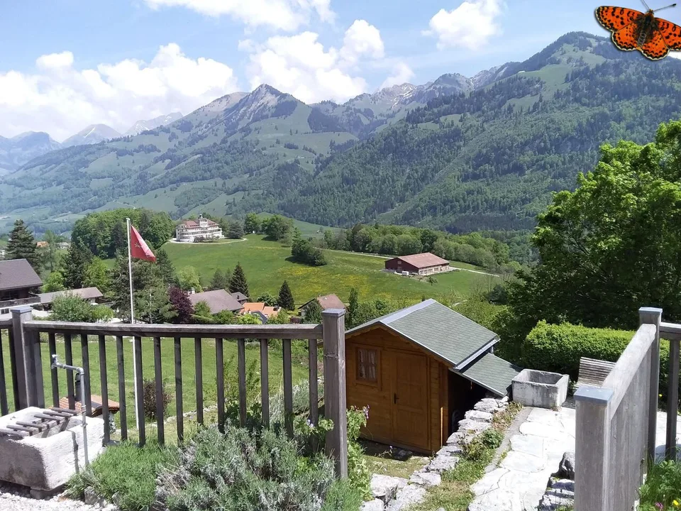 4.5 Zimmer Wohnung in Albeuve – Foto 4 von 13