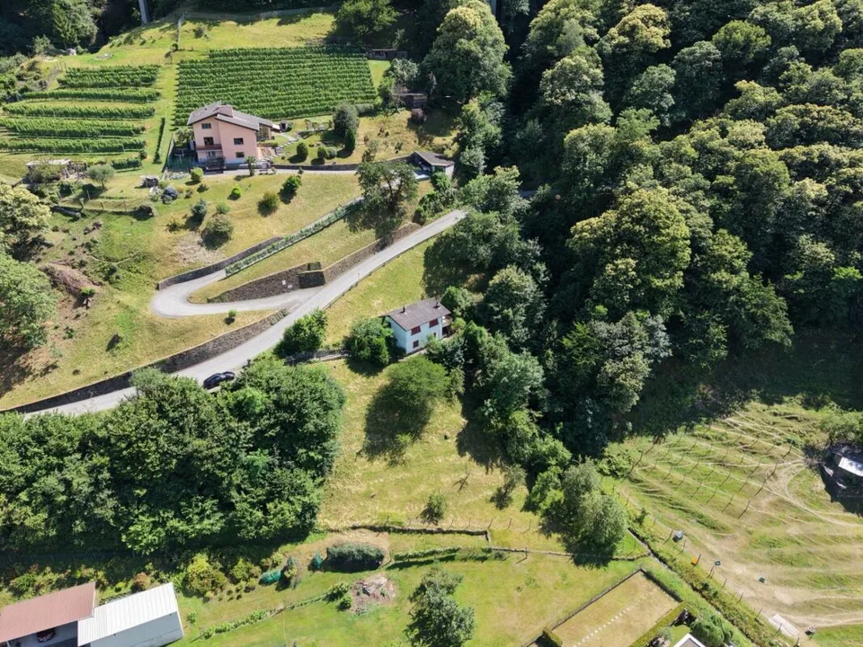 Sogno residenziale ticinese nel verde – foto 15 di 15