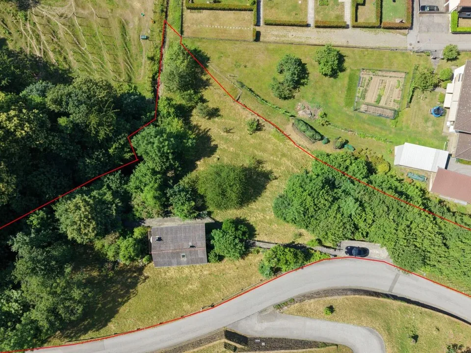 Sogno residenziale ticinese nel verde – foto 2 di 15