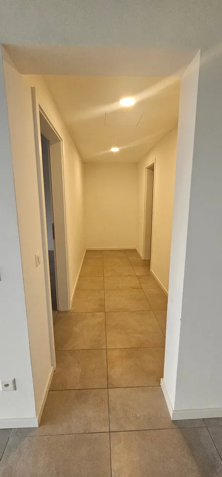 Modernes 2.5-Zimmer-Apartment mit Terrasse und privatem Garten in Pazzallo – Foto 7 von 9