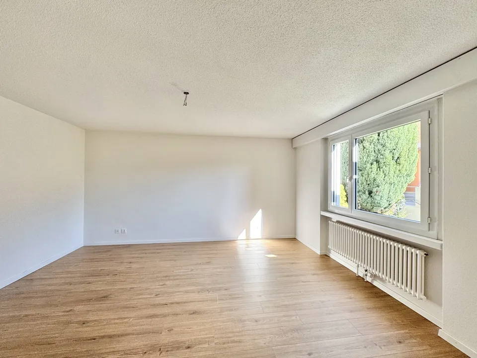 Posizione soleggiata con vista sul Reno: casa a schiera di 5,5 locali in una zona tranquilla – foto 9 di 13