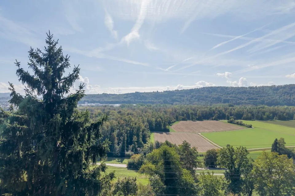 Umweltfreundliches Einfamilienhaus am Waldrand mit Solaranlage und Wärmepumpe – Foto 17 von 23
