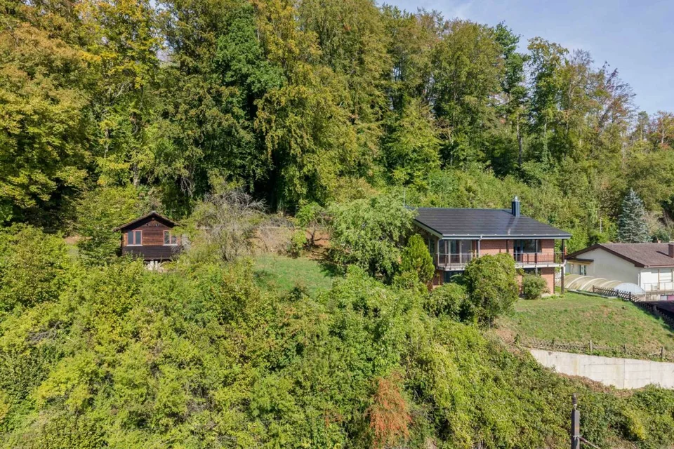 Umweltfreundliches Einfamilienhaus am Waldrand mit Solaranlage und Wärmepumpe – Foto 2 von 23
