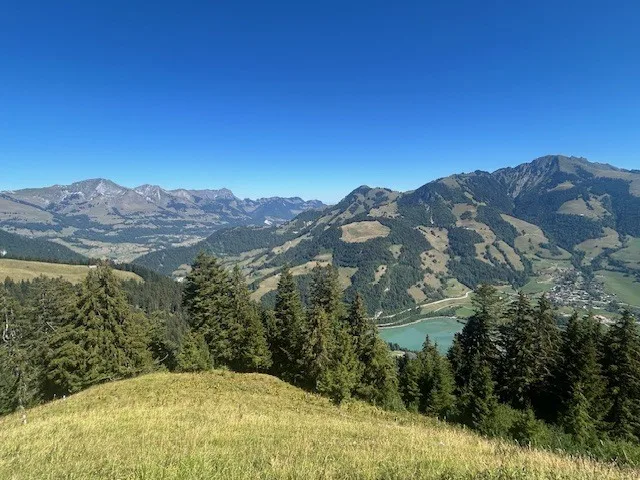 Zu verkaufen, Chalet, 1658 Rossinière, Ref Tsamufins – Foto 9 von 20