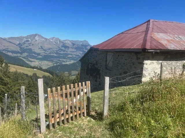 Zu verkaufen, Chalet, 1658 Rossinière, Ref Tsamufins – Foto 13 von 20