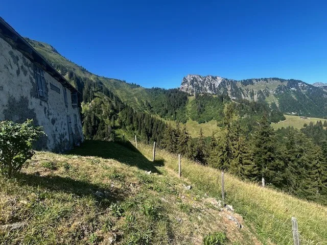 Zu verkaufen, Chalet, 1658 Rossinière, Ref Tsamufins – Foto 7 von 20