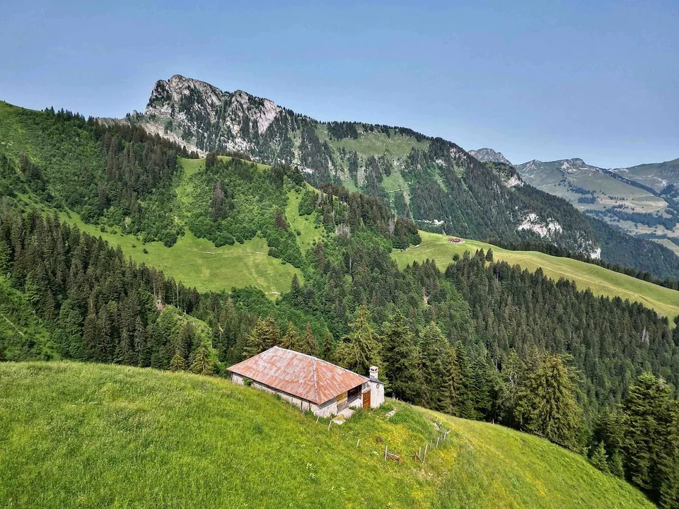 Zu verkaufen, Chalet, 1658 Rossinière, Ref Tsamufins – Foto 3 von 20