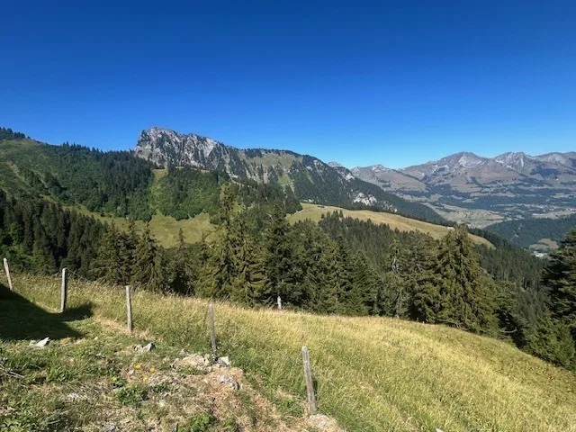 Zu verkaufen, Chalet, 1658 Rossinière, Ref Tsamufins – Foto 8 von 20