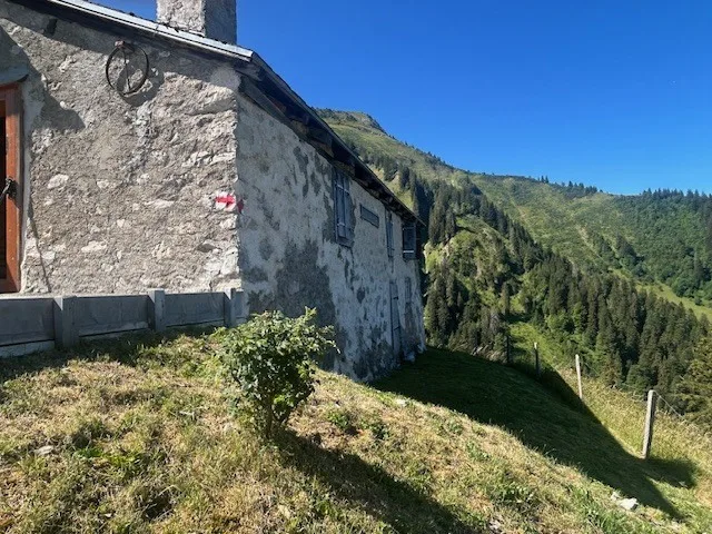 Zu verkaufen, Chalet, 1658 Rossinière, Ref Tsamufins – Foto 5 von 20