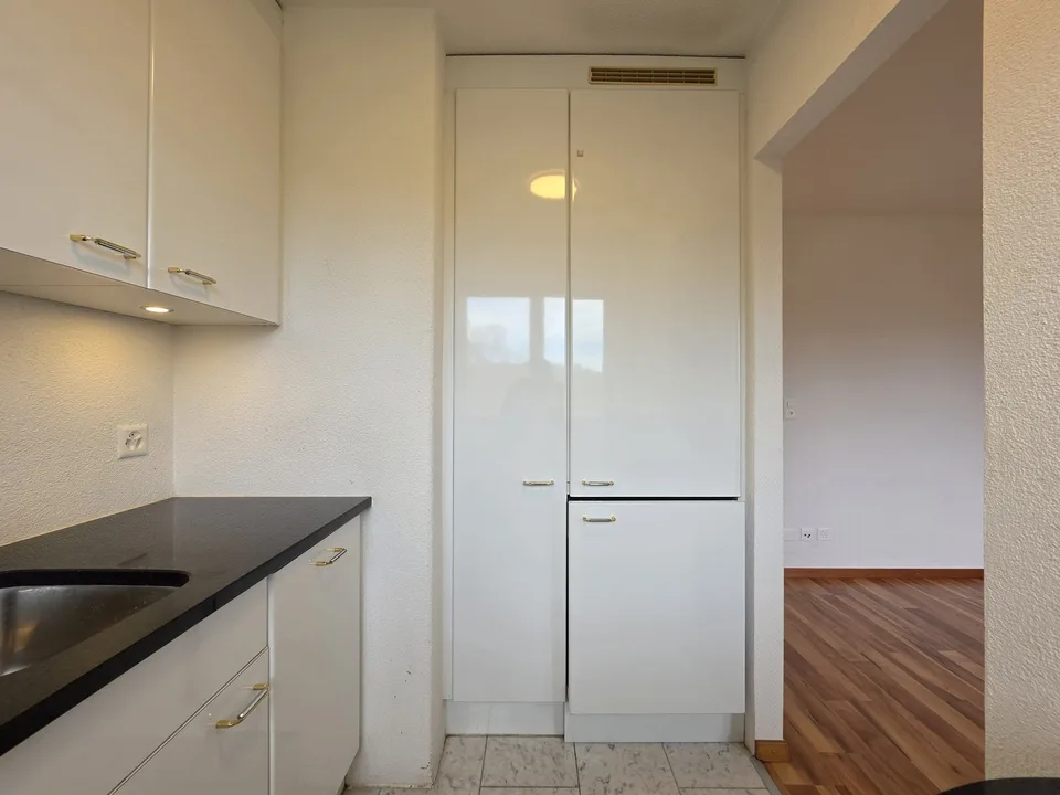 Moderne 1 Zimmer Wohnung in Zürich mieten – Foto 4 von 12
